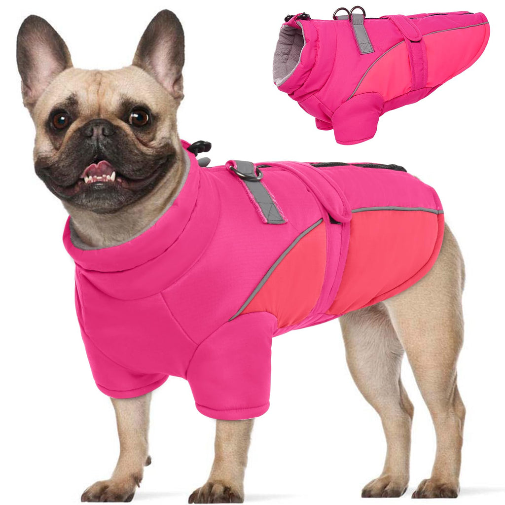 Dog wearing a pink life jacket with a close-up of the jacket on a white background