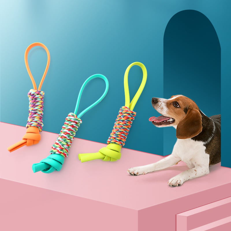 Three colorful dog toys on a pink platform with a dog looking at them against a blue background.