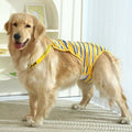 Striped Dog Physiological Pants – Pet Period & Heat Protection Suit