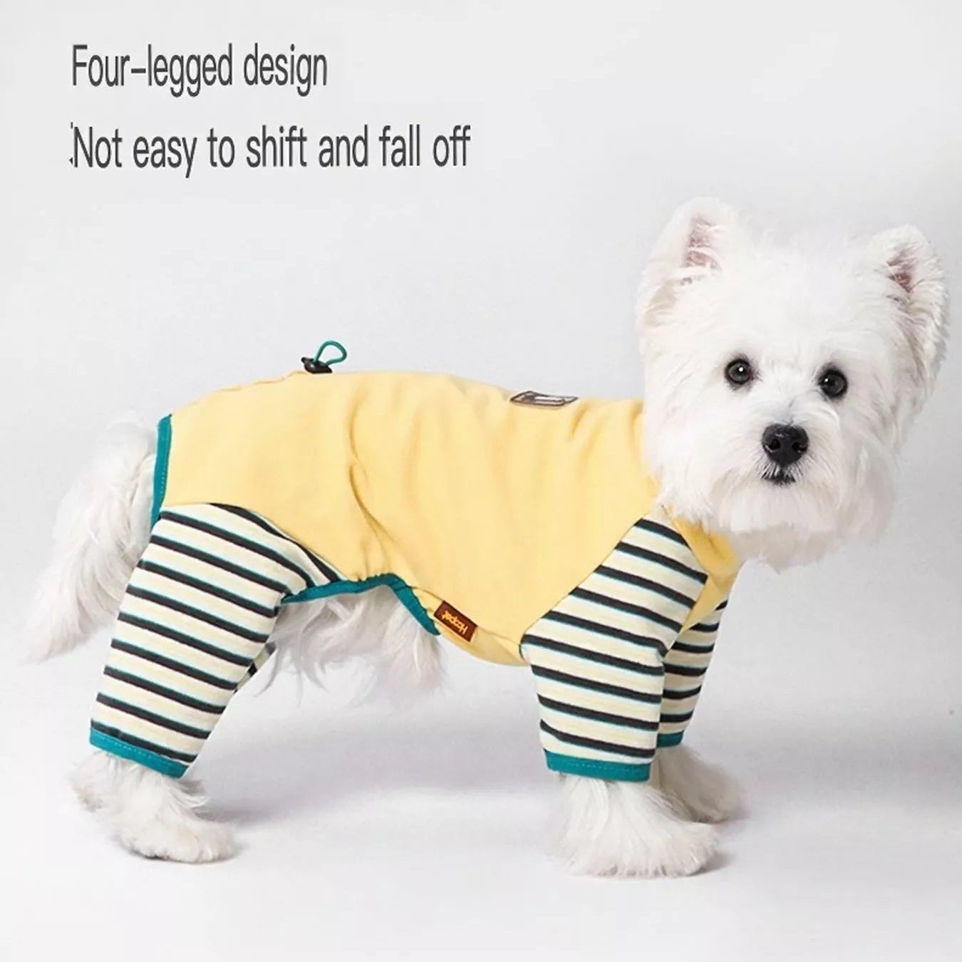 Dog wearing a yellow and striped outfit on a white background