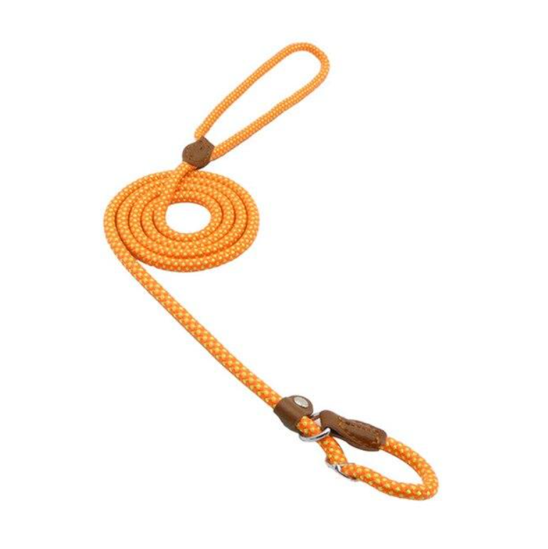 Nylon & PU Leather Dog Collar & Leash Set
