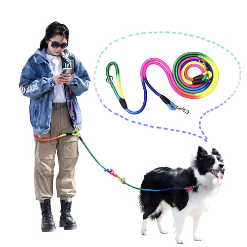 Person with a dog using colorful leashes, with a focus on the leashes.