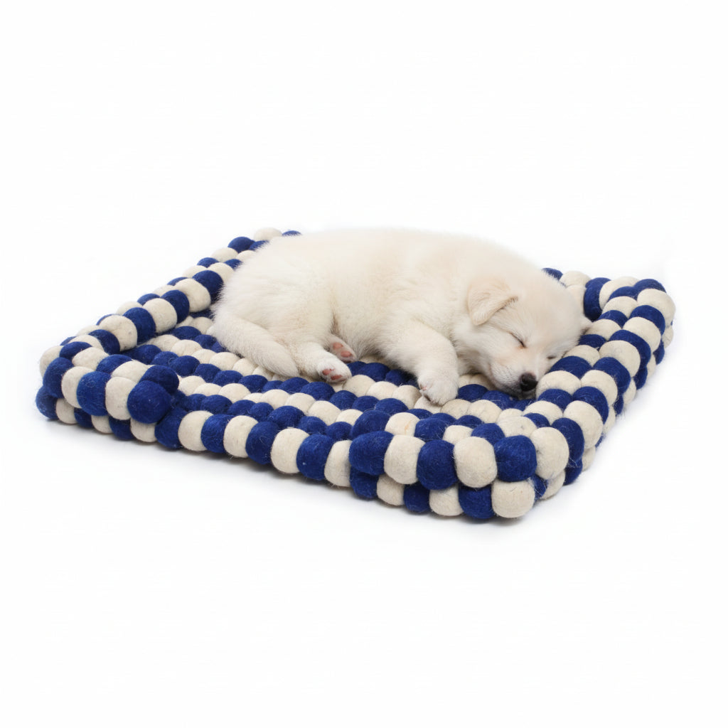 Blue and white striped pet bed on a white background