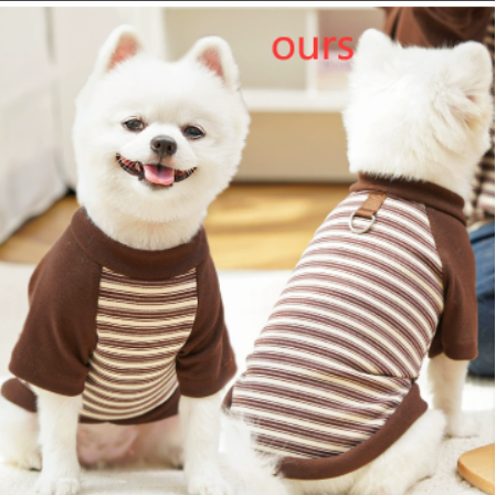 Two white dogs wearing brown and beige striped sweaters indoors.