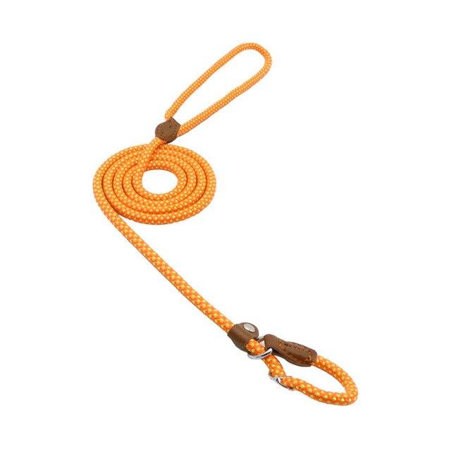 Nylon & PU Leather Dog Collar & Leash Set