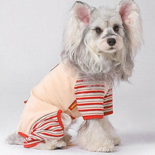 Small dog wearing a outfit with a white background