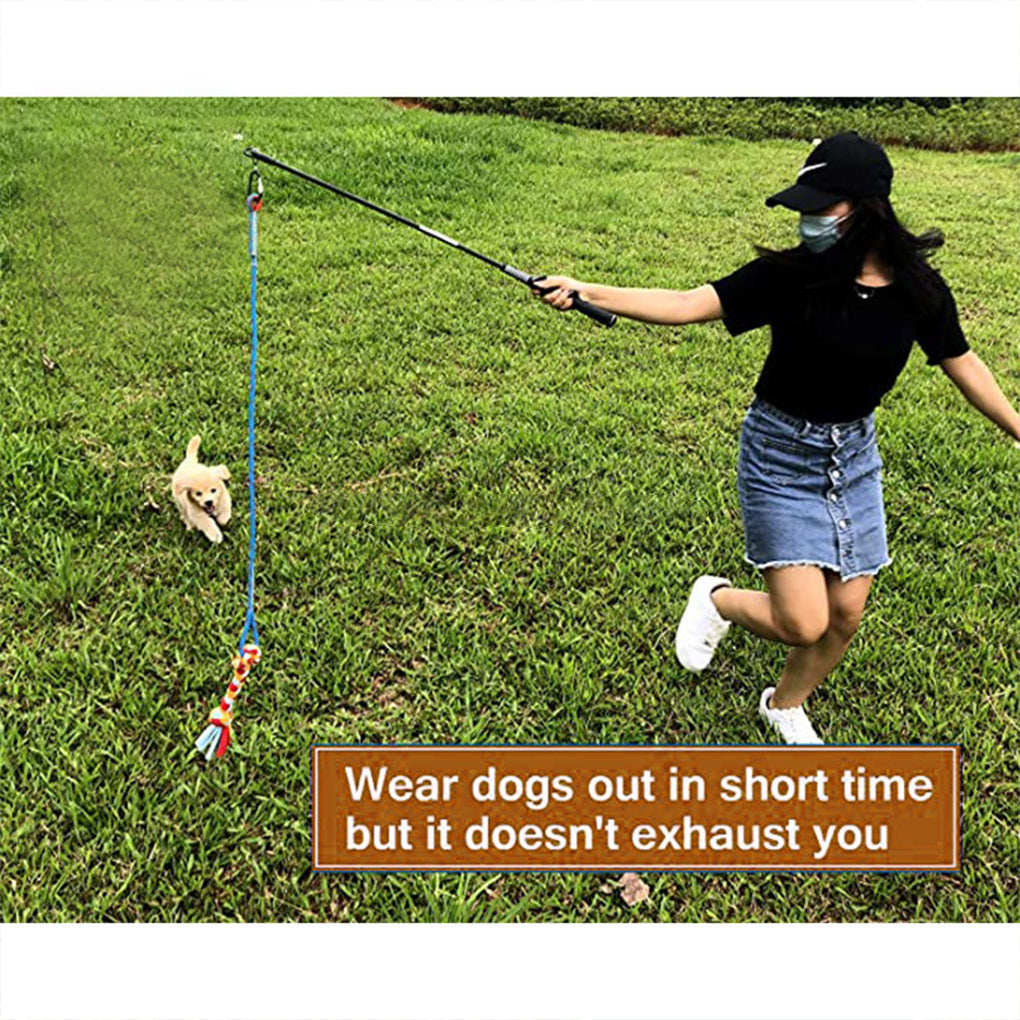 Interactive Pet Teaser Wand Toy for Cats & Dogs