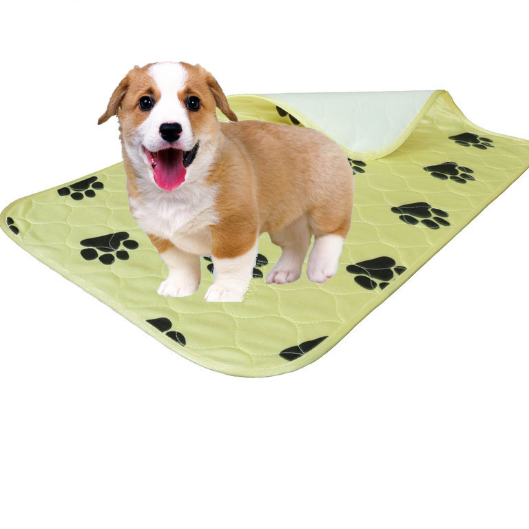 Dog standing on a green mat with black paw prints on a white background