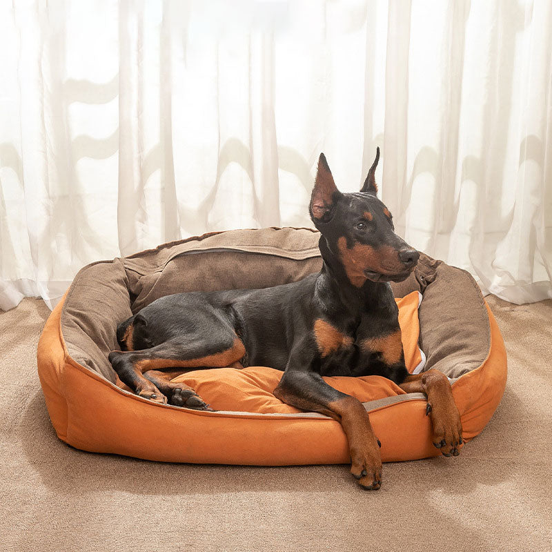 Dog lying on an orange and brown pet bed with white curtains in the background