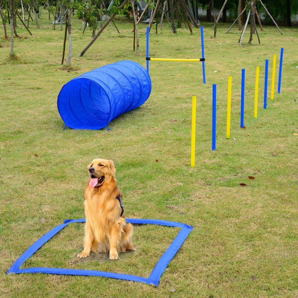 PawHut Dog Agility Starter Kit – Outdoor Exercise & Training Set