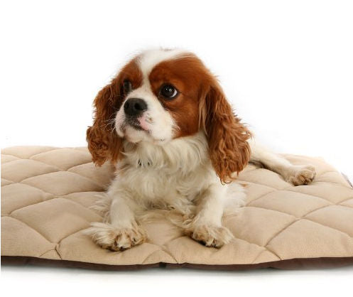 Flectabed Q Self-Heating Pet Bed – Cream