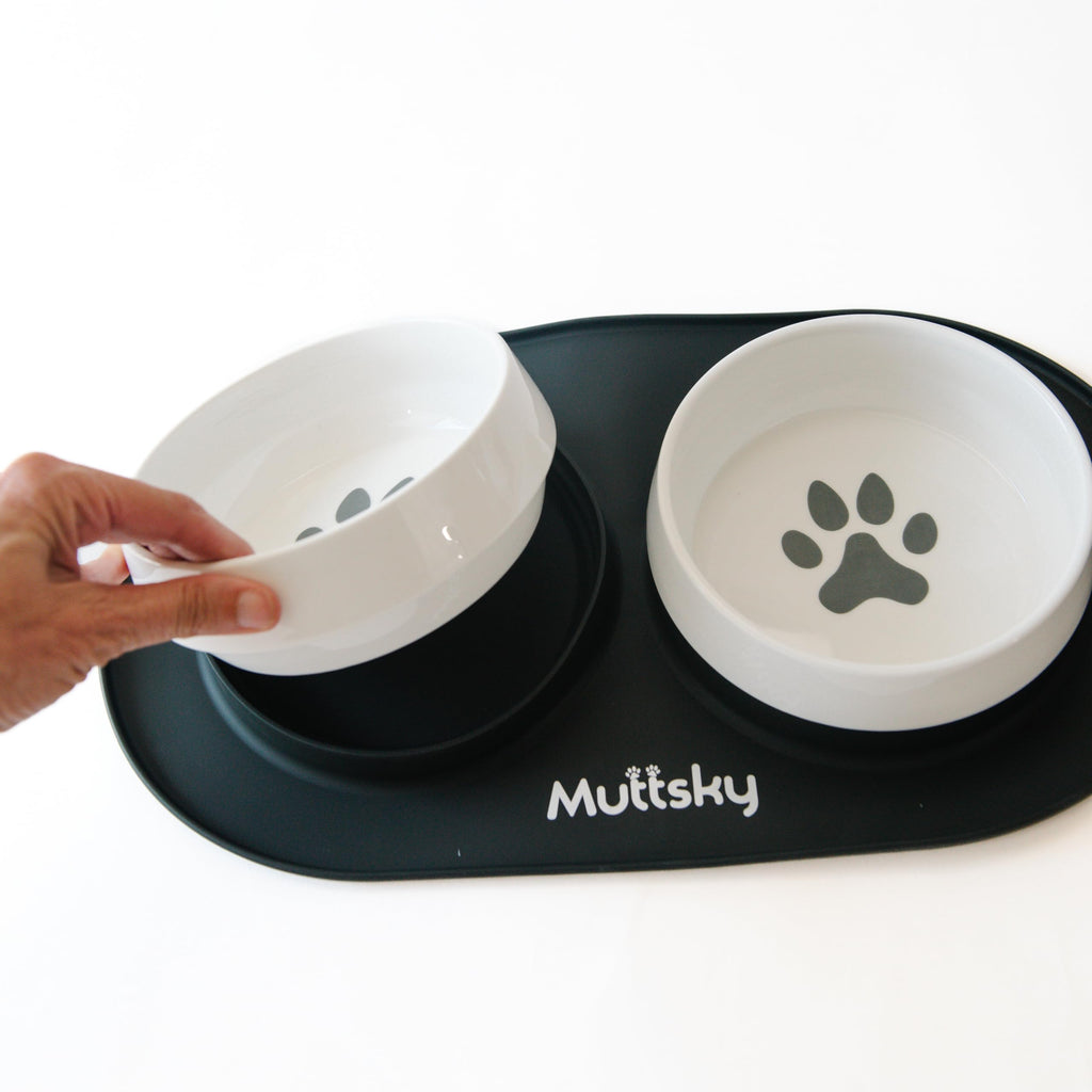 Pet bowls with a paw print design on a black mat, held by a hand.