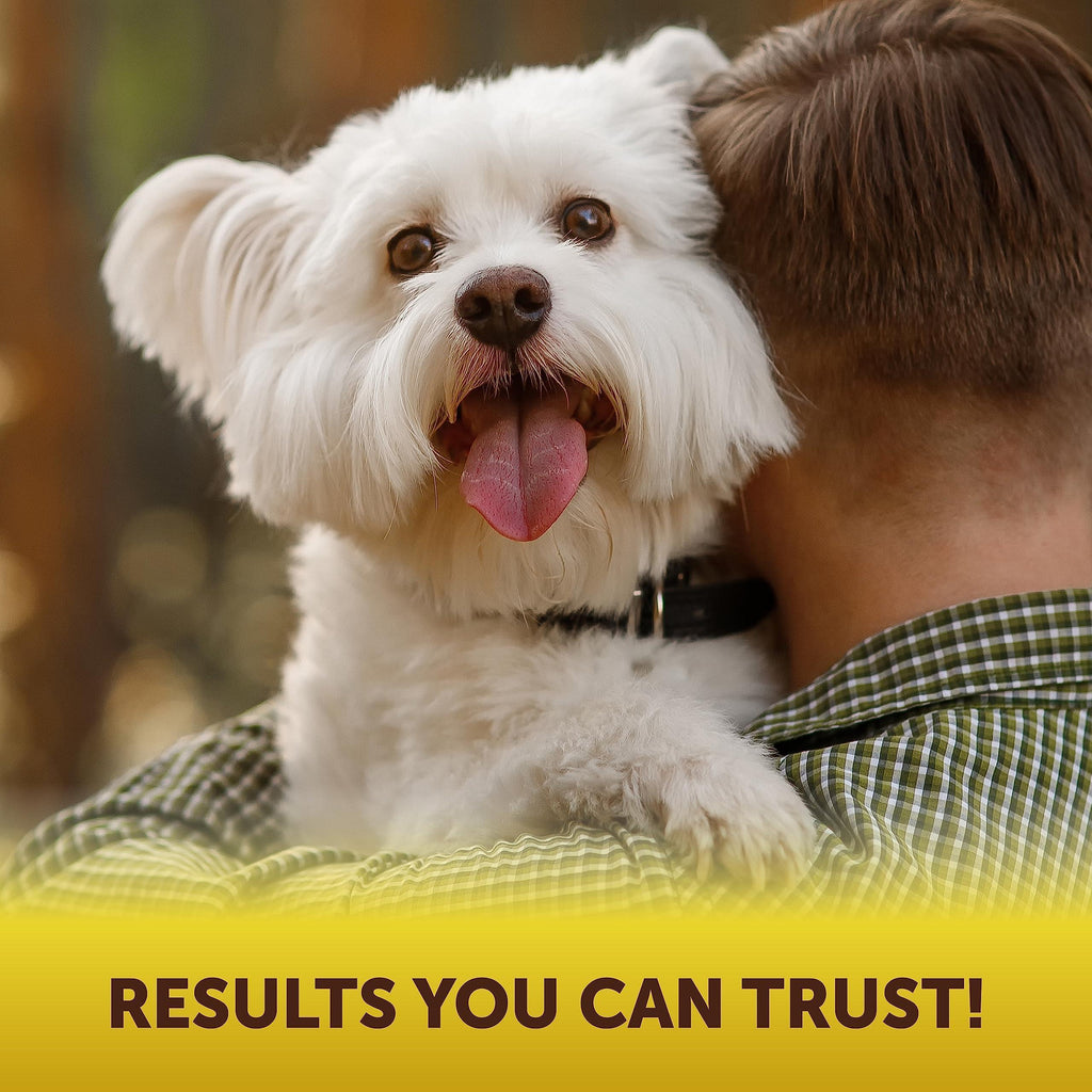 Scoot Stopper Soft Chews for Dogs