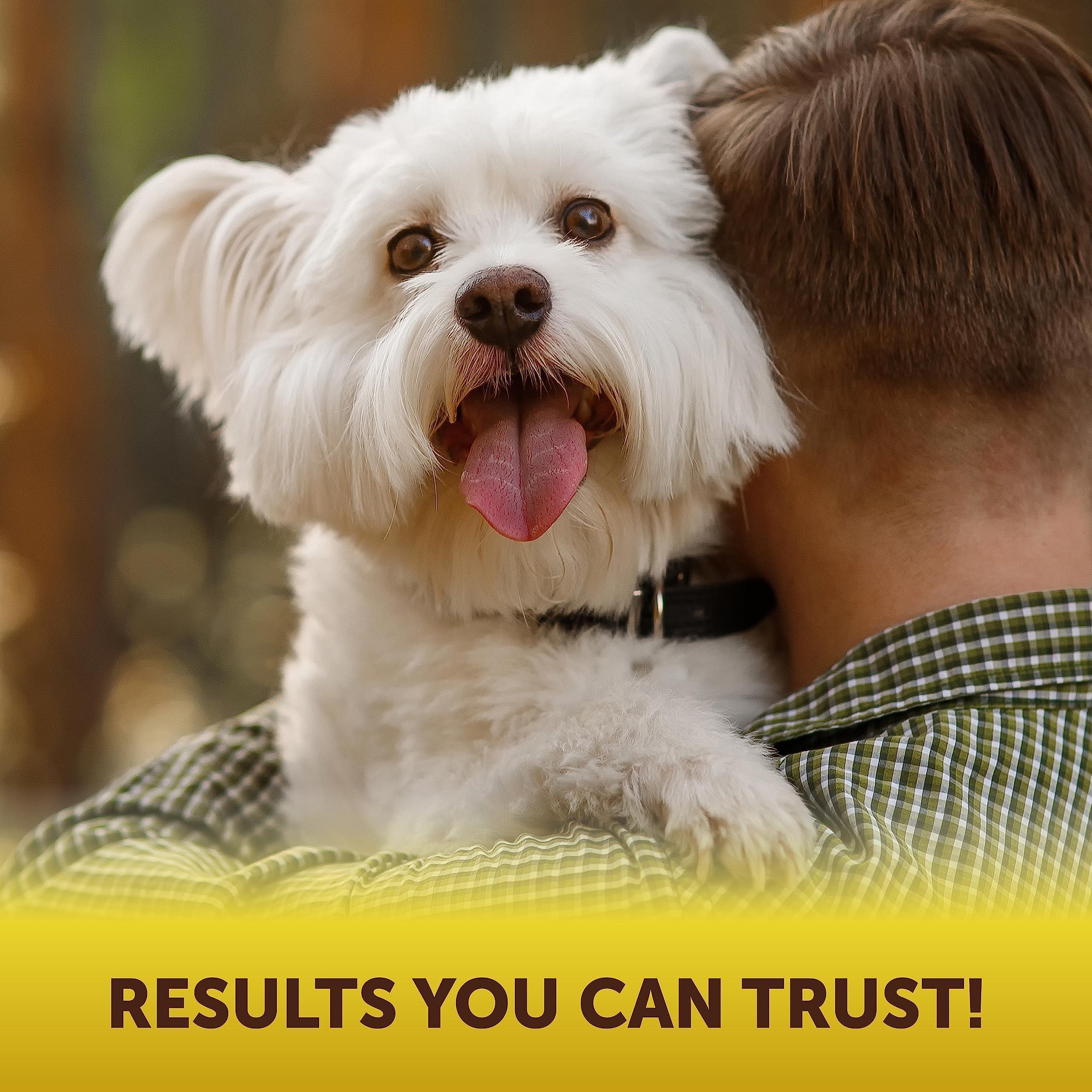 Scoot Stopper Soft Chews for Dogs