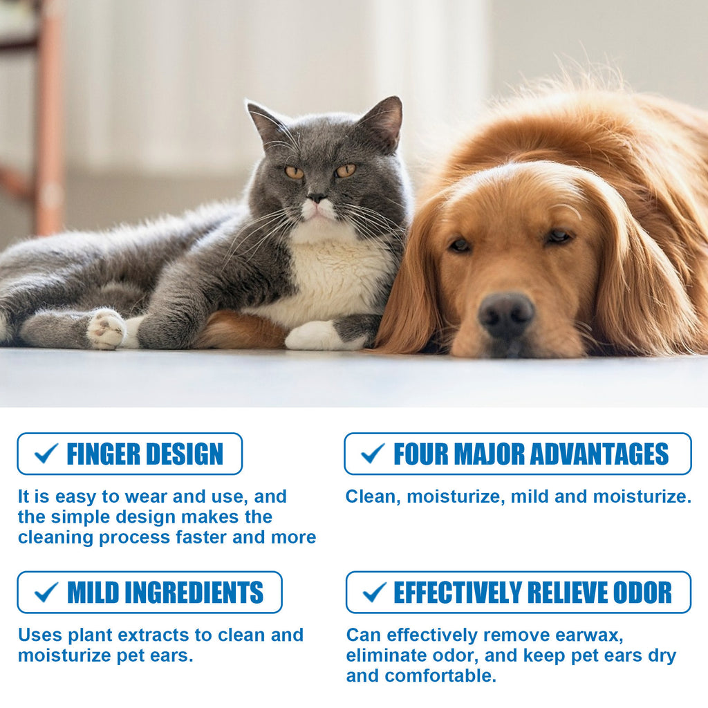 Cat and dog lying together with product features highlighted