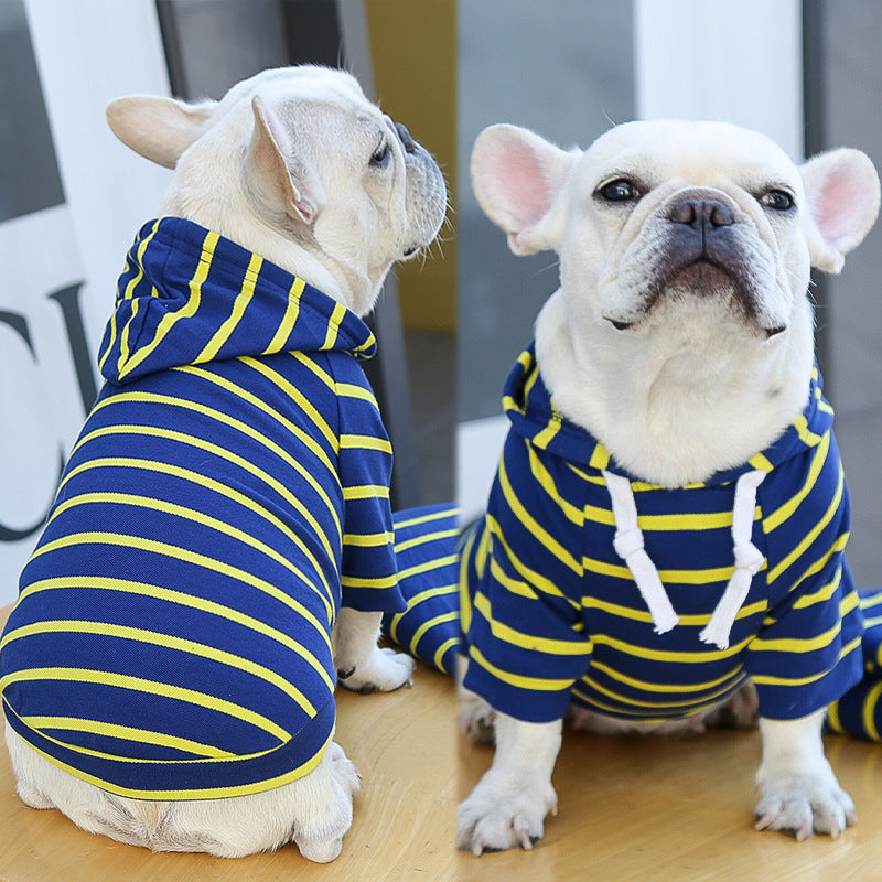 Two dogs wearing blue and yellow striped outfits indoors.