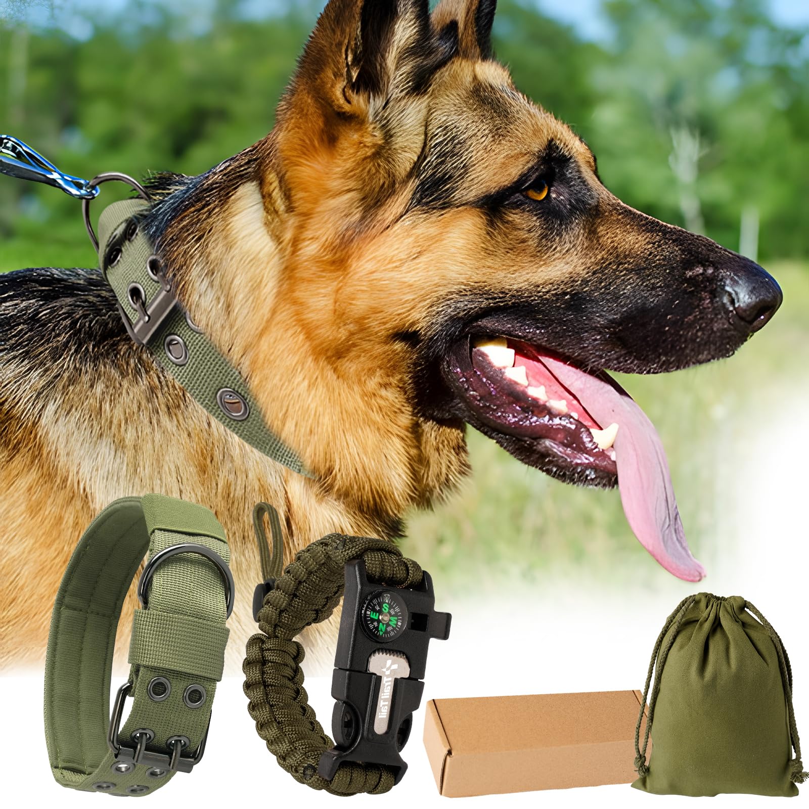 German Shepherd wearing a green collar with additional dog accessories displayed below.
