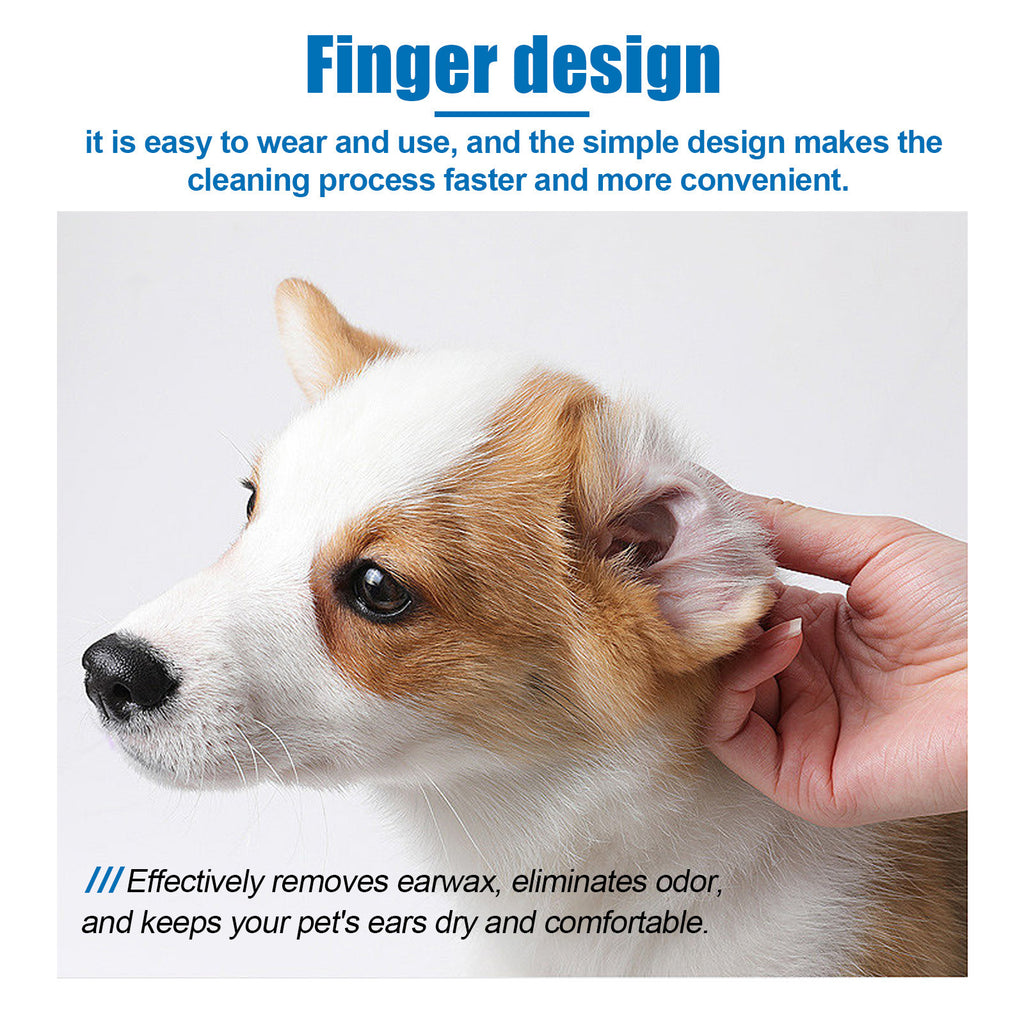Dog being groomed with text about ear cleaning product design