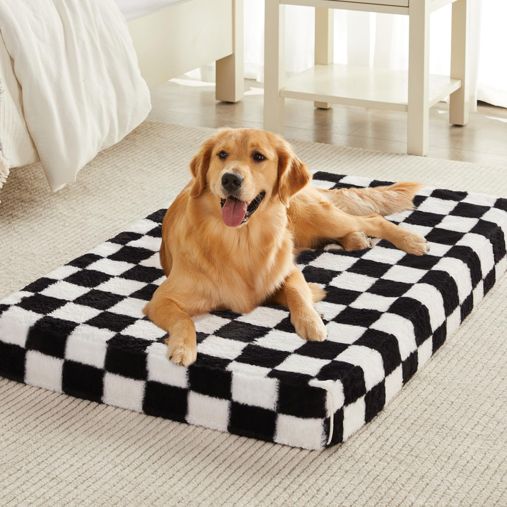 Dog lying on a black and white checkered pet bed in a room.