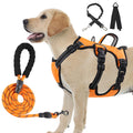 Dog wearing an orange harness with black straps, standing next to a leash and two additional straps on a white background.