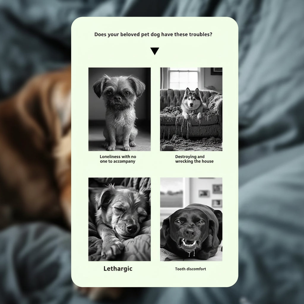Card with images of dogs and text describing their troubles, on a textured gray background.