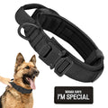 Black dog collar with a patch on a white background