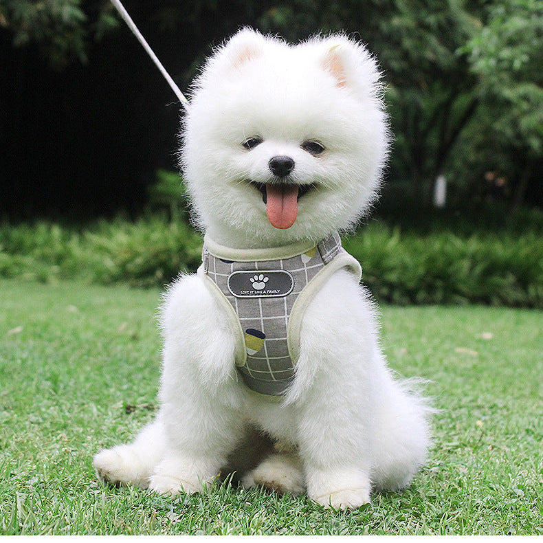 White fluffy dog wearing a harness sitting on grass with trees in the background