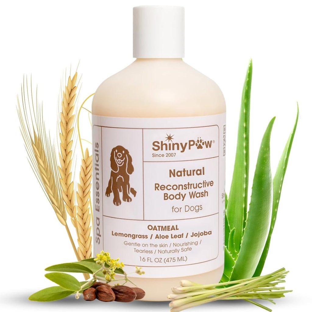 Shiny Paw natural reconstructive body wash for dogs with aloe vera and wheat on a white background