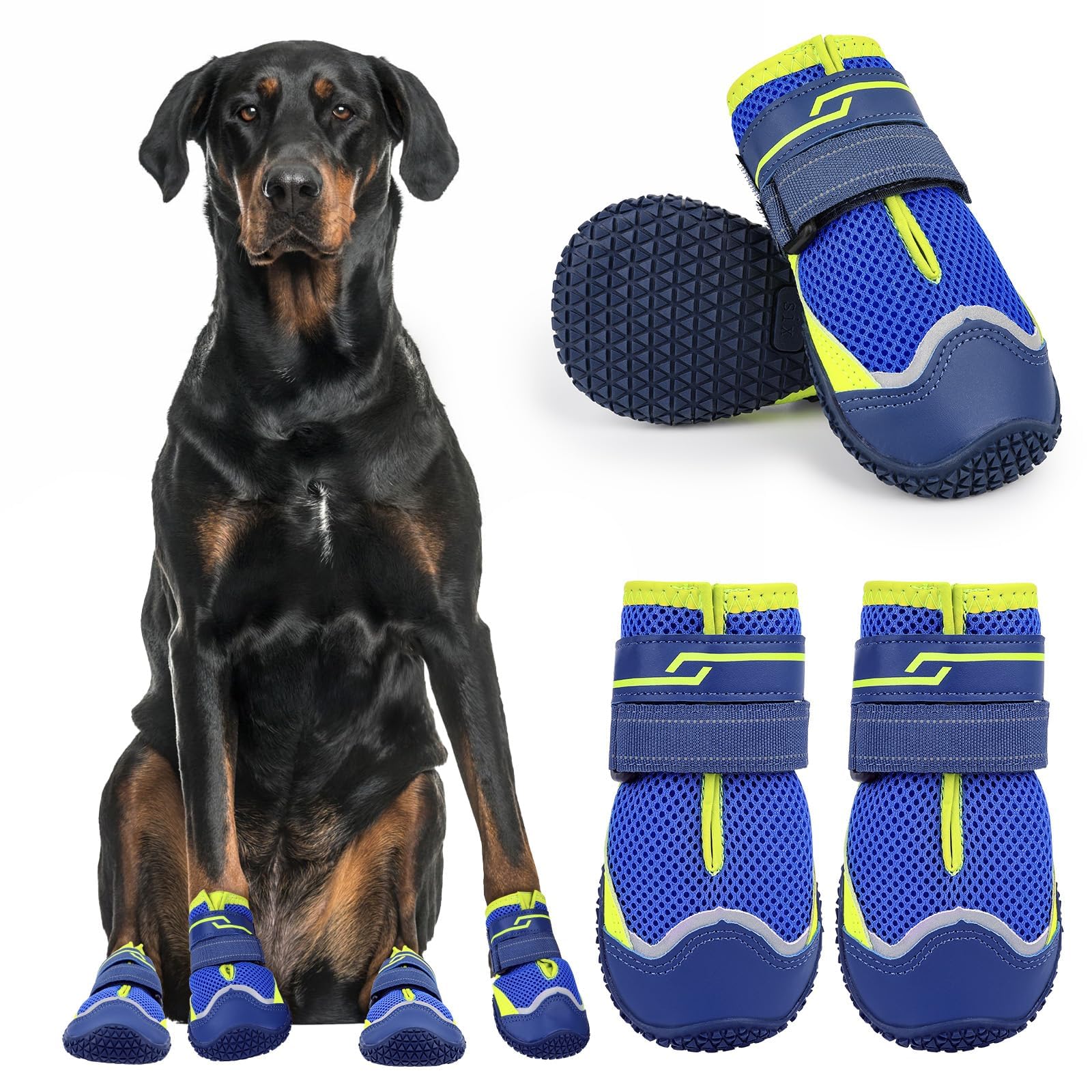 Dog wearing blue and yellow dog boots with a white background