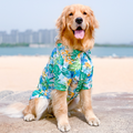 Summer Dog T-Shirt for Small Breeds – Lightweight Casual Pet Shirt