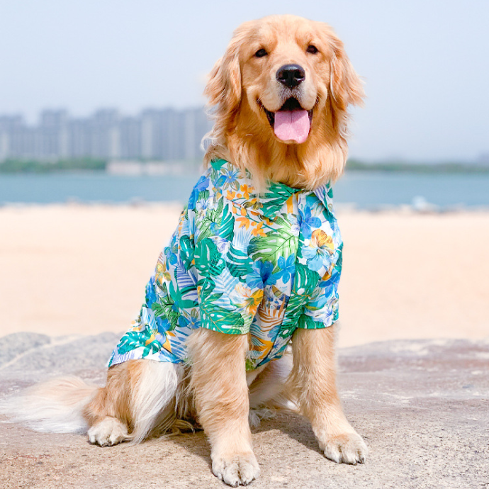 Summer Dog T-Shirt for Small Breeds – Lightweight Casual Pet Shirt