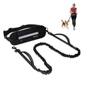 Black dog leash with attached waist bag on a white background