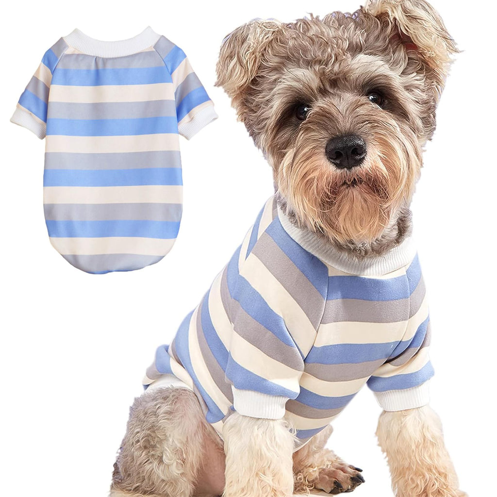 Dog wearing a blue and white striped shirt with a matching shirt on a white background