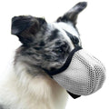Dog wearing a white mesh muzzle on a white background