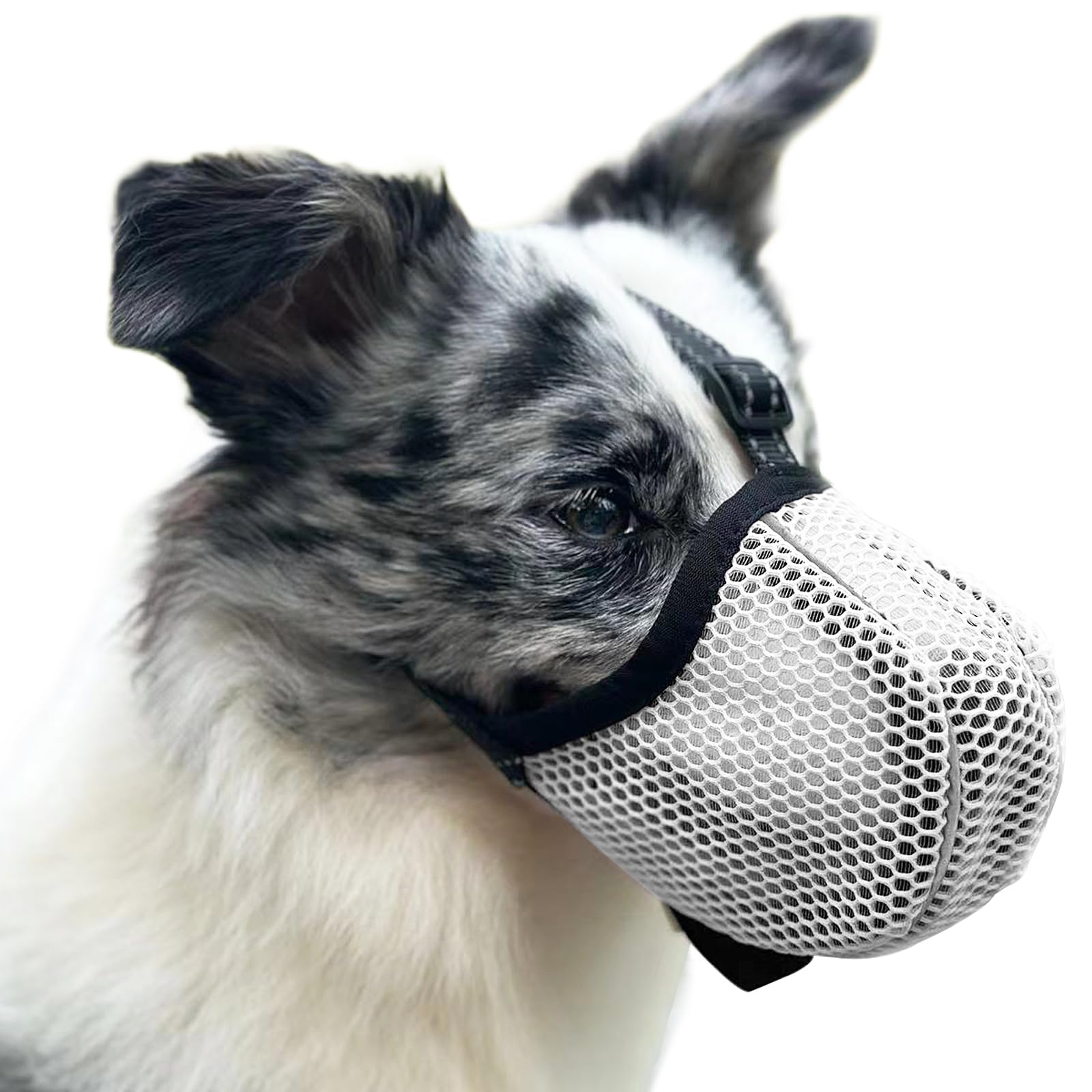 Dog wearing a white mesh muzzle on a white background