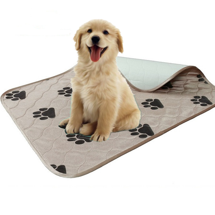 Dog sitting on a pet mat with paw prints on a white background