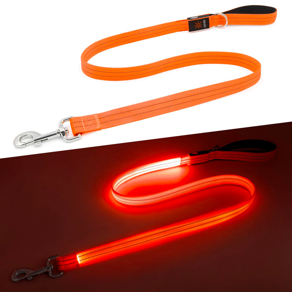Orange LED dog leash on a white background
