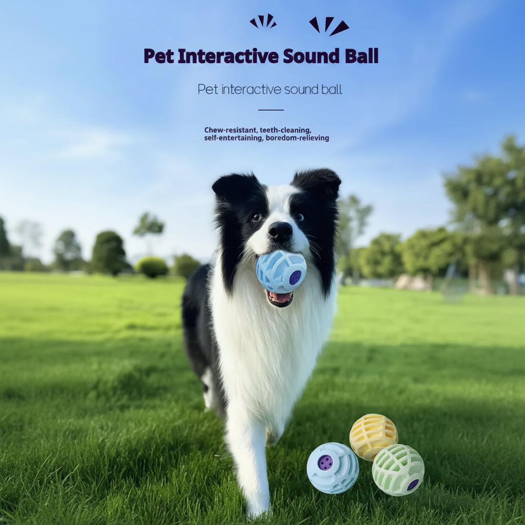Dog playing with a pet interactive sound ball in a grassy field
