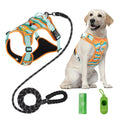 Dog harness, leash, and training tools on a white background