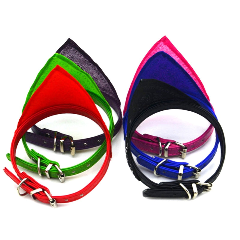 Set of colorful dog collars on a white background