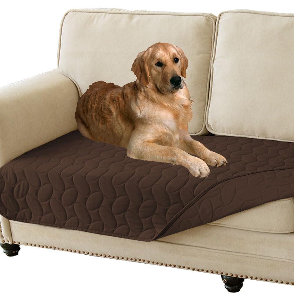 Dog lying on a brown pet seat cover on a beige couch