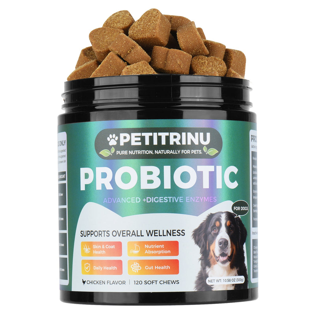 Petitrinu probiotic supplement for dogs with chews on top of the container.