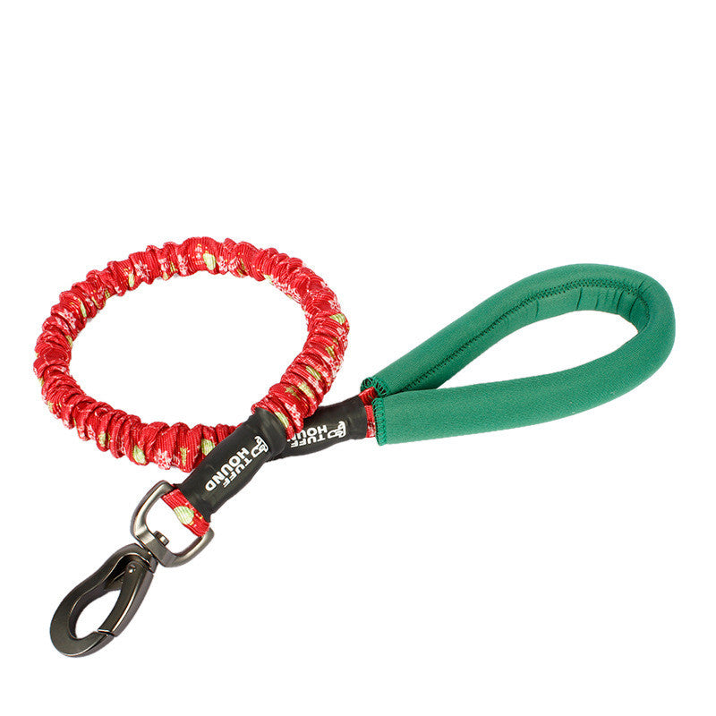 Red and green dog leash with a black clip on a white background