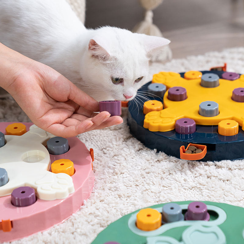 Dog Puzzle Toy & Slow Feed Bowl for Pets