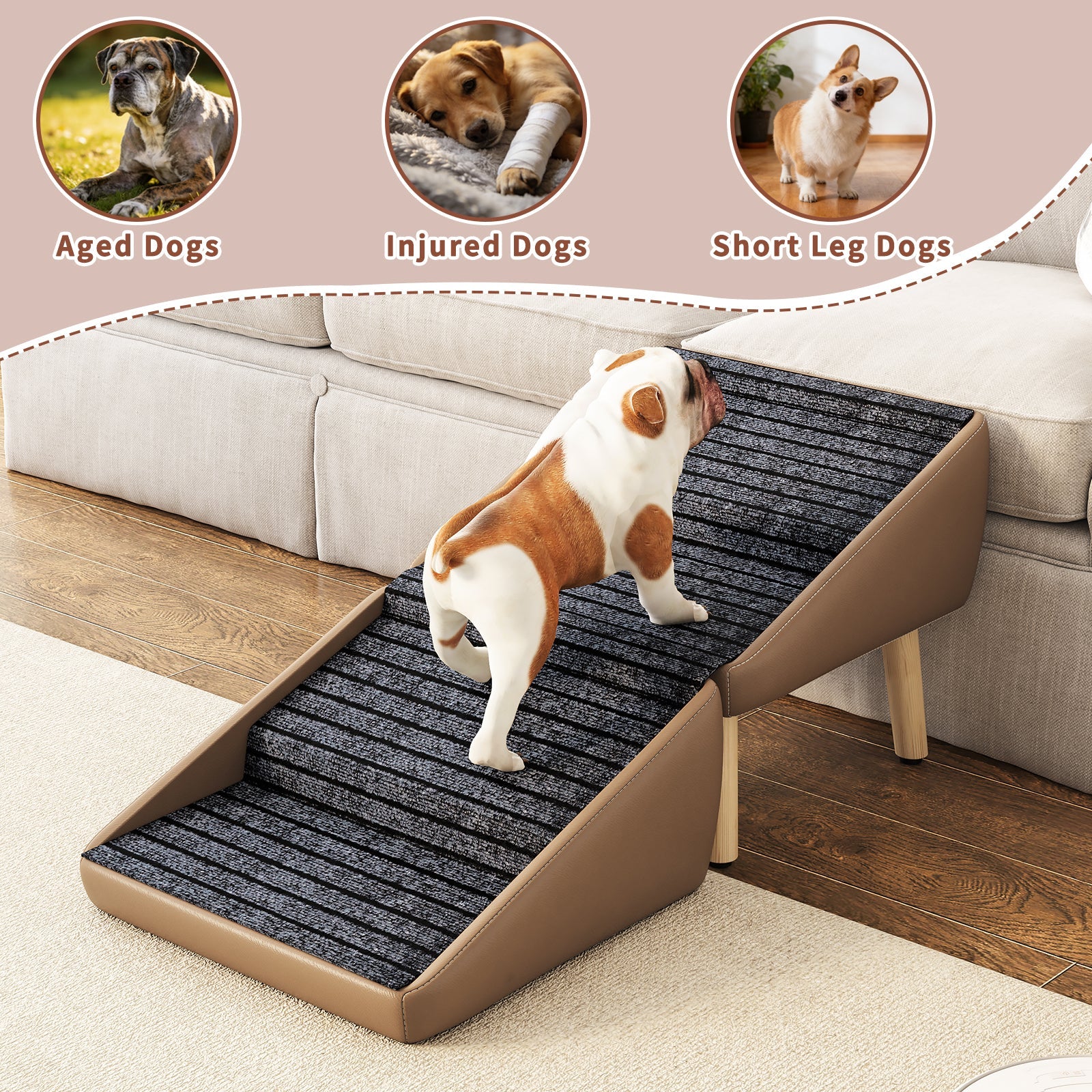 Pet ramp for dogs with images of aged, injured, and short-legged dogs at the top.