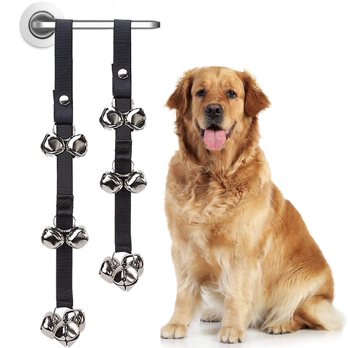 Dog with a set of black bell collars on a white background
