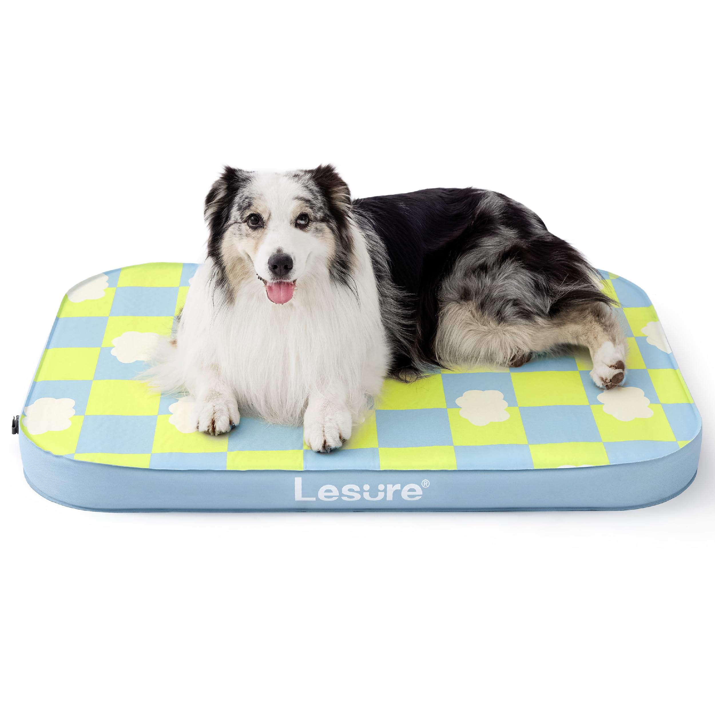Dog lying on a checkered pet bed with 'Leisure' branding