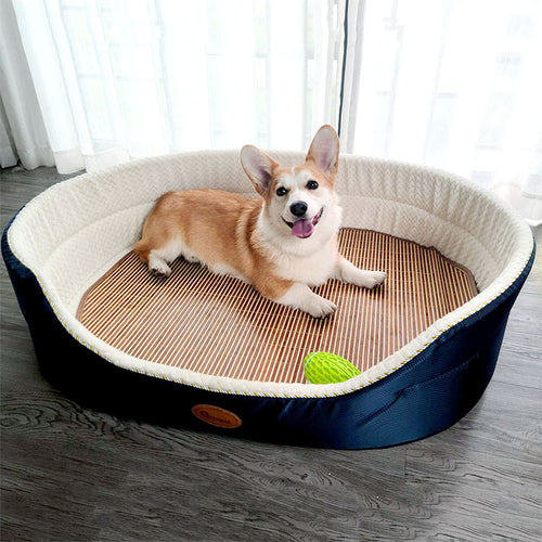 Dog lying on a round pet bed with a wooden surface and a green leaf toy.