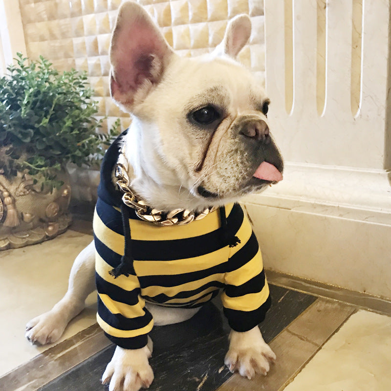 Dog wearing a striped sweater with a gold chain, sitting on a wooden floor.