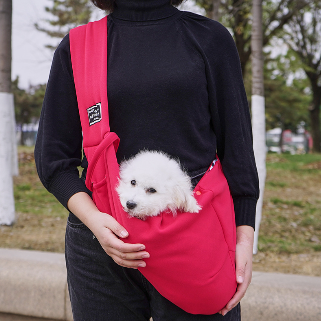 Person holding a small white dog in a red backpack carrier outdoors.